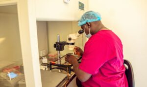 PGT-A (Genetic Testing)